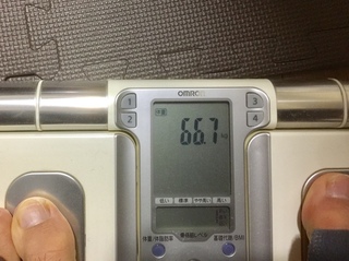 IMG-8187.jpg